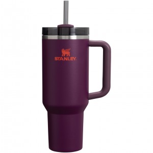 Stanley Adventure Quencher H2.0 Travel Tumbler | 40 oz Plum | 57WEPGZYM
