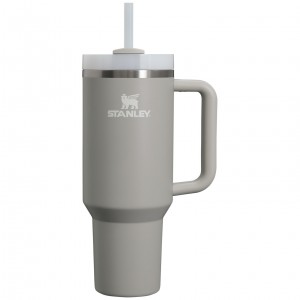 Stanley Adventure Quencher H2.0 Travel Tumbler | 40 oz Ash | 62DQIPOHG