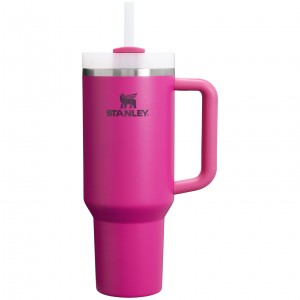Stanley Adventure Quencher H2.0 Travel Tumbler | 40 oz Küpe Çiçeği | 02ILYECUG