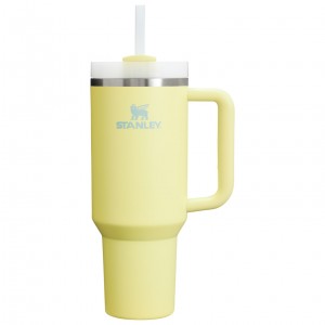 Stanley Adventure Quencher H2.0 Travel Tumbler | 40 oz Pomelo | 34SZQFYUI