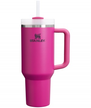 Stanley Adventure Quencher H2.0 Travel Tumbler | 40 oz Küpe Çiçeği | 63TQKVBPD