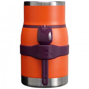 Stanley Adventure To-Go Food Jar + Spork | 24 OZ Tigerlily Plum | 59DRVEFJT