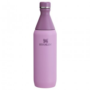 Stanley All Day Slim Bottle | 20 OZ Lilac | 60WAMHISB