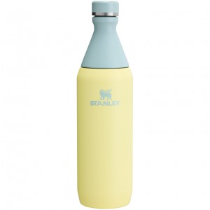 Stanley All Day Slim Bottle | 20 OZ Pomelo | 92HLANXGP