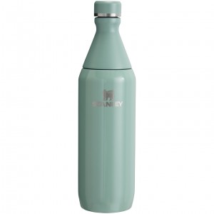 Stanley All Day Slim Bottle | 20 OZ Shale Gloss | 78VCDYRIJ