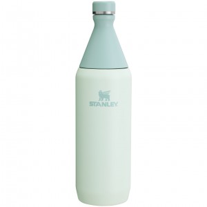Stanley All Day Slim Bottle | 34 OZ Mist | 18NMUKIYW