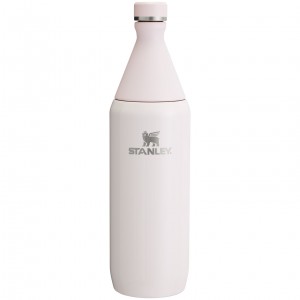 Stanley All Day Slim Bottle | 34 OZ Pembe | 41GKVFOLM