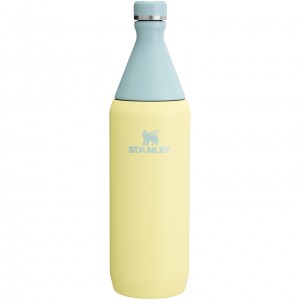 Stanley All Day Slim Bottle | 34 OZ Pomelo | 06DWENLVY