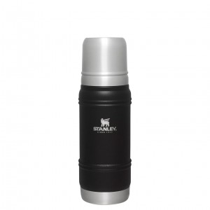 Stanley Artisan Thermal Bottle | 20 OZ Siyah | 85CJOFDNH