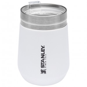 Stanley GO Everyday Insulated Tumbler | 10 OZ Polar | 98ITUPDMY
