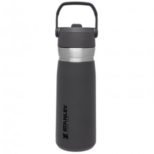 Stanley Go Flip Straw Water Bottle | 22 OZ | Insulated Bottle Charcoal | 45GBYWNZV