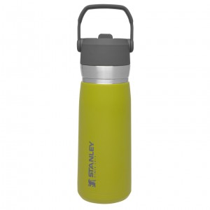 Stanley Go Flip Straw Water Bottle | 22 OZ | Insulated Bottle Aloe | 14RSCQBLG
