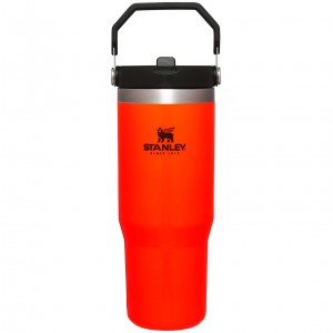 Stanley Hunt + Fish IceFlow™ Flip Straw Tumbler | 30 OZ Turuncu | 57IROZVGM