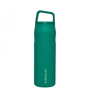 Stanley IceFlow™ Bottle with Cap and Carry+ Lid | 24 OZ Alpine | 37DKHXOPU