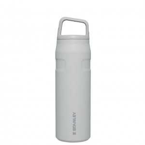 Stanley IceFlow™ Bottle with Cap and Carry+ Lid | 24 OZ Fog Glimmer | 56BMFALRO