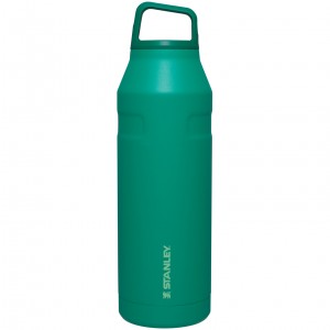 Stanley IceFlow™ Bottle with Cap and Carry+ Lid | 50 OZ Alpine | 83FBZGHPM