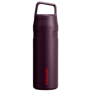 Stanley IceFlow™ Bottle with Cap and Carry+ Lid | 24 OZ Plum | 48NFPDRZI