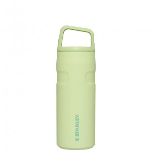 Stanley IceFlow™ Bottle with Cap and Carry+ Lid | 16 OZ Citron | 09WVRPTMI