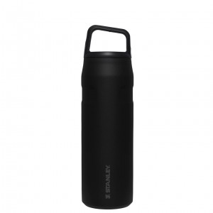 Stanley IceFlow™ Bottle with Cap and Carry+ Lid | 24 OZ Siyah | 14ANZLUBV