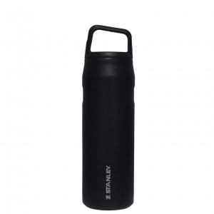 Stanley IceFlow™ Bottle with Cap and Carry+ Lid | 24 OZ Siyah | 46GQBCXSN