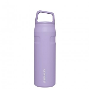 Stanley IceFlow™ Bottle with Cap and Carry+ Lid | 24 OZ Lavanta | 27LDKFPHW