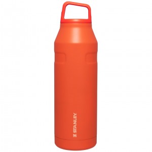 Stanley IceFlow™ Bottle with Cap and Carry+ Lid | 50 OZ Tigerlily | 39LYFCMVE