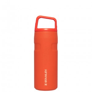 Stanley IceFlow™ Bottle with Cap and Carry+ Lid | 16 OZ Tigerlily | 58BQIYNDZ
