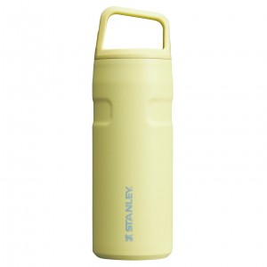 Stanley IceFlow™ Bottle with Cap and Carry+ Lid | 16 OZ Pomelo | 39ZPTESQI