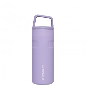 Stanley IceFlow™ Bottle with Cap and Carry+ Lid | 16 OZ Lavanta | 78RHWEZVA