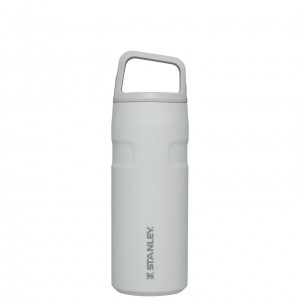 Stanley IceFlow™ Bottle with Cap and Carry+ Lid | 16 OZ Fog Glimmer | 39XSTEYHF