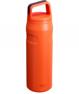 Stanley IceFlow™ Bottle with Cap and Carry+ Lid | 24 OZ Tigerlily Plum | 23QXVHUOD