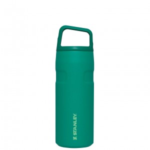 Stanley IceFlow™ Bottle with Cap and Carry+ Lid | 16 OZ Alpine | 91LRBKZEC