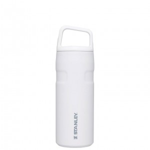 Stanley IceFlow™ Bottle with Cap and Carry+ Lid | 16 OZ Polar | 97IRLYEOQ