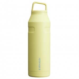 Stanley IceFlow™ Bottle with Cap and Carry+ Lid | 50 OZ Pomelo | 56QZKLPVS
