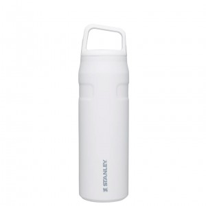Stanley IceFlow™ Bottle with Cap and Carry+ Lid | 24 OZ Polar | 98XHDIUNV