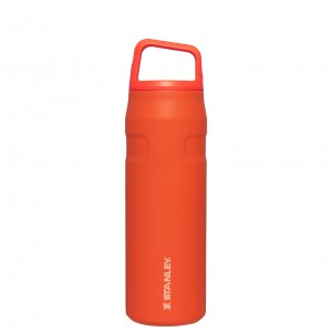 Stanley IceFlow™ Bottle with Cap and Carry+ Lid | 24 OZ Tigerlily | 35BMSDINK