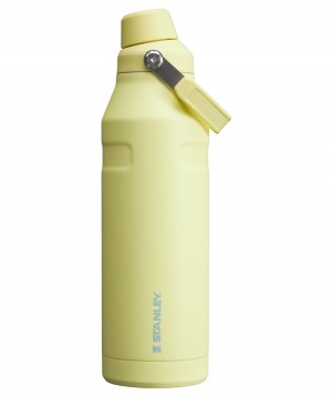 Stanley IceFlow™ Bottle with Fast Flow Lid | 50 OZ Pomelo | 64DVSBMUE