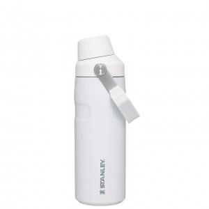 Stanley IceFlow™ Bottle with Fast Flow Lid | 16 OZ Polar | 54LMNTHWO