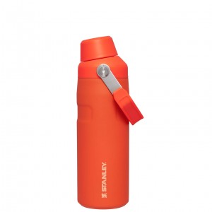 Stanley IceFlow™ Bottle with Fast Flow Lid | 16 OZ Tigerlily | 01YJBENOX