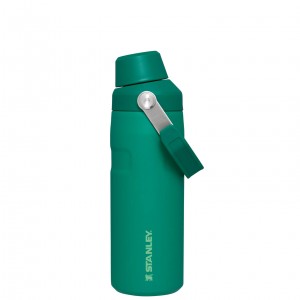 Stanley IceFlow™ Bottle with Fast Flow Lid | 16 OZ Alpine | 93RJWGEHM