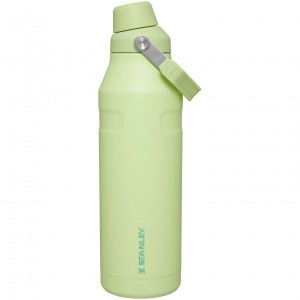 Stanley IceFlow™ Bottle with Fast Flow Lid | 50 OZ Citron | 76EJWFMQS