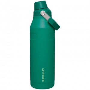 Stanley IceFlow™ Bottle with Fast Flow Lid | 50 OZ Alpine | 02GOXFRPN