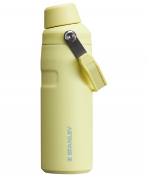 Stanley IceFlow™ Bottle with Fast Flow Lid | 16 OZ Pomelo | 19RJQAWDM