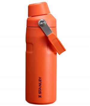 Stanley IceFlow™ Bottle with Fast Flow Lid | 16 OZ Tigerlily Plum | 62SKFXULC