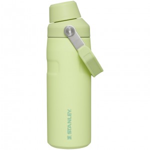 Stanley IceFlow™ Bottle with Fast Flow Lid | 16 OZ Citron | 18VIWMDYR