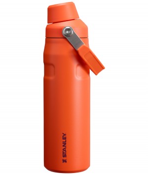 Stanley IceFlow Insulated Bottle with Fast Flow Lid | 24 OZ Tigerlily Plum | 72GEMJFAC