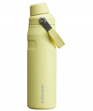 Stanley IceFlow Insulated Bottle with Fast Flow Lid | 24 OZ Pomelo | 92QXSOENA
