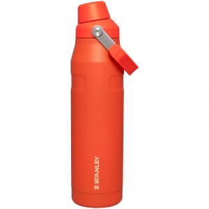 Stanley IceFlow Insulated Bottle with Fast Flow Lid | 36 OZ Tigerlily | 18RLUZQMG