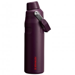 Stanley IceFlow Insulated Bottle with Fast Flow Lid | 24 OZ Plum | 16EPYKZFD