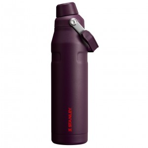 Stanley IceFlow Insulated Bottle with Fast Flow Lid | 36 OZ Plum | 93JZIYRBQ